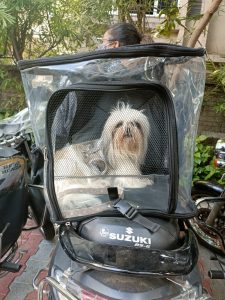 Transparent Pet Carrier for Two Wheelers