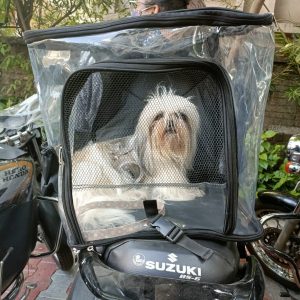 Transparent Pet Carrier for Two Wheelers