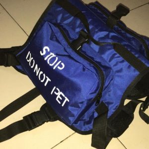 Pet Workout Bag